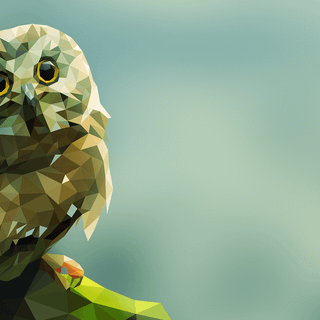 Owl wallpaper desktop