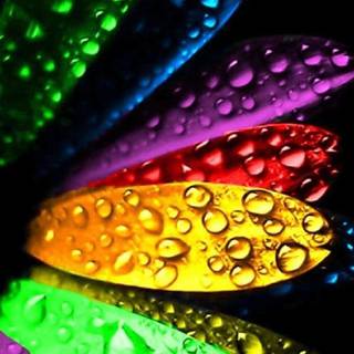 Colorful phone wallpaper