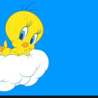 Baby tweety wallpaper