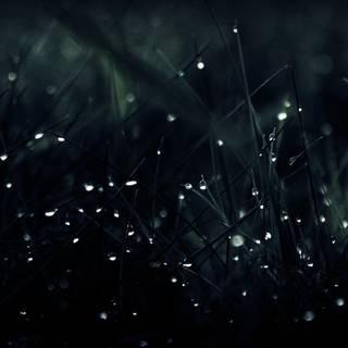 HQ background images