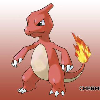 Pokemon charmeleon wallpaper