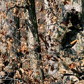 Realtree wallpaper