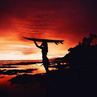 Surf sunset wallpaper