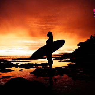 Surf sunset wallpaper