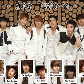 Siwon super junior wallpaper