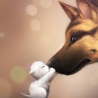 Kissing HD wallpaper for mobile