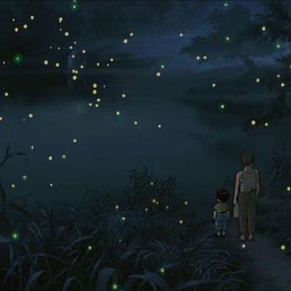 Firefly HD wallpaper