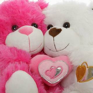 Free teddy full HD wallpaper