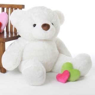 Free teddy full HD wallpaper