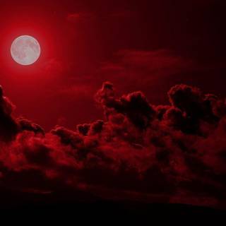Blood moon wallpaper