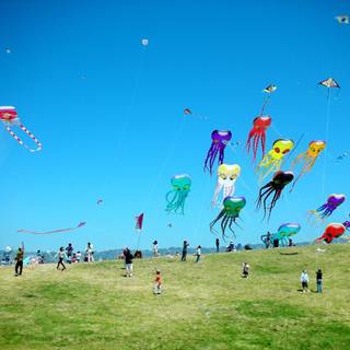 Kites wallpaper