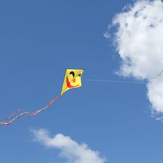 Kites wallpaper