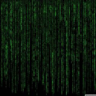 Matrix binary wallpaper