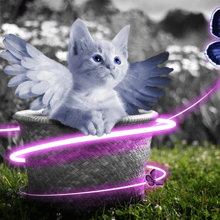 Fairy kittens wallpaper