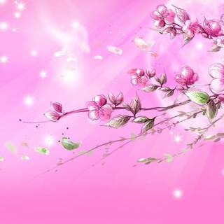 Barbie background pink