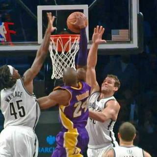 Kobe wallpaper panda