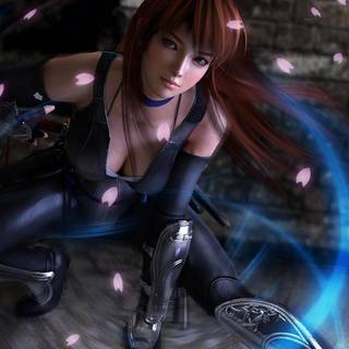 Doa 5 wallpaper