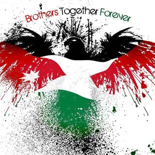 Wallpaper palestina android