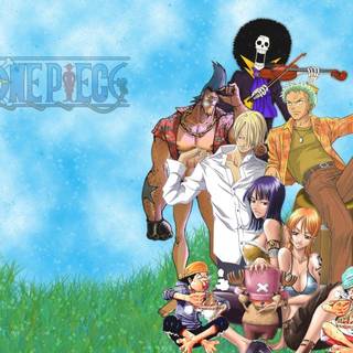 Zoro wallpaper : wallpaper panda