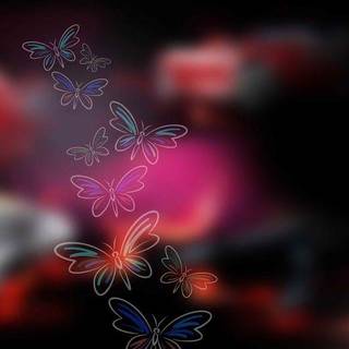 Wedding album plain background