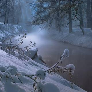 HD night winter wallpaper