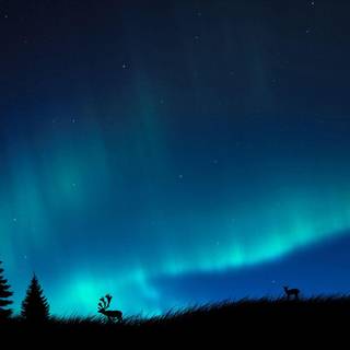 Northern lights wallpaper HD