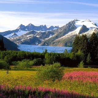 Alaska in spring wallpaper
