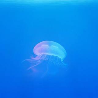 Oceanography wallpaper