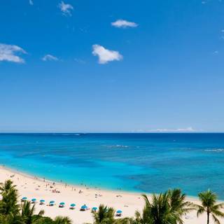 Waikiki HD wallpaper