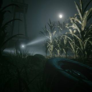 Outlast 2 HD wallpaper