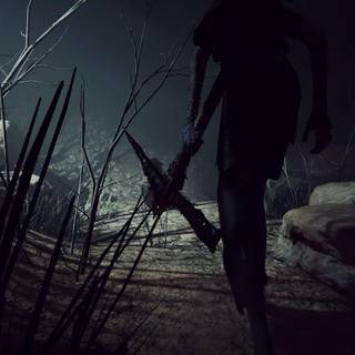 Outlast 2 HD wallpaper