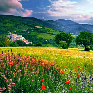 Village HD wallpaper