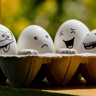Eggs wallpaper