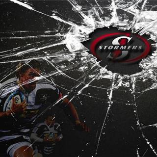 Springboks wallpaper