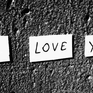 I love boobies wallpaper