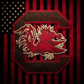 Wallpaper for Gamecocks