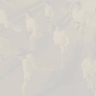 Martial arts background