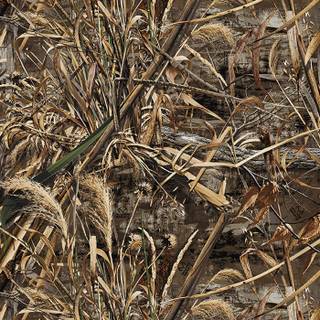 Realtree max 5 wallpaper