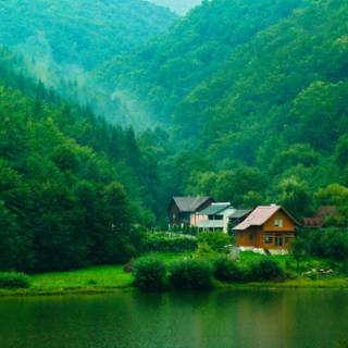 Nature wallpaper desktop full size