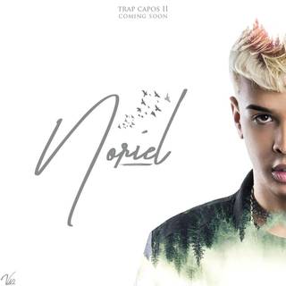Noriel wallpaper