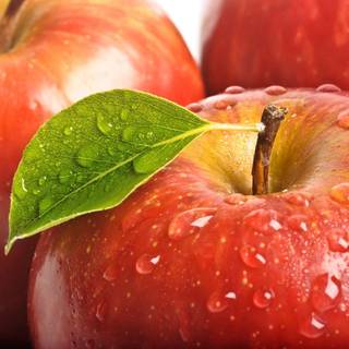 HD wallpaper nature water