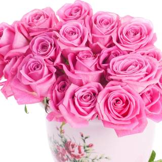 Wallpapers flowers roses