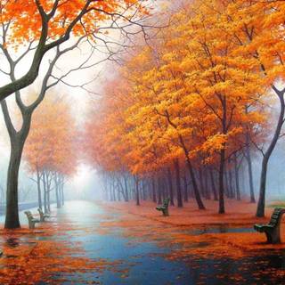 Beautiful background images for desktop