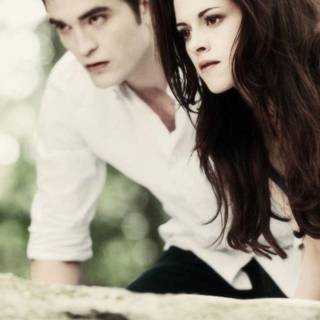 Twilight full HD wallpaper