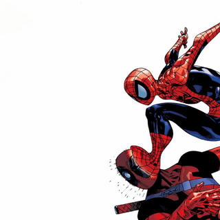 Assassin Spider-Man wallpaper