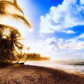 HD wallpaper of summer