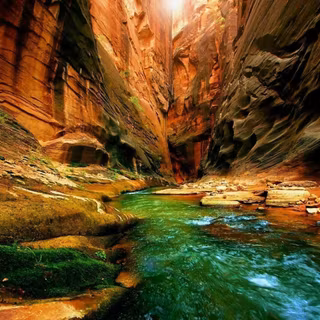 HD senary image and wallpapercom