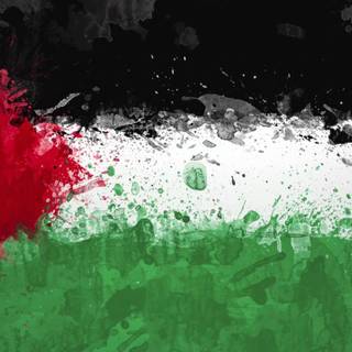 Gaza wallpaper