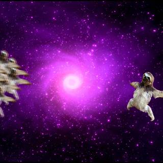Sloth in space wallpaper