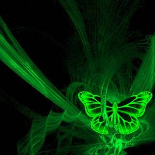 Neon green butterflies wallpaper